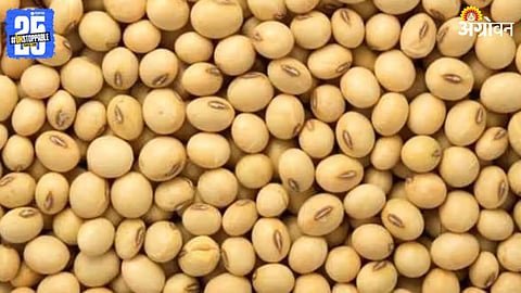 Soybean Bhavantar 
