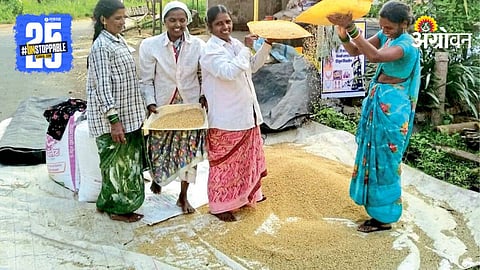 Rice Harvest