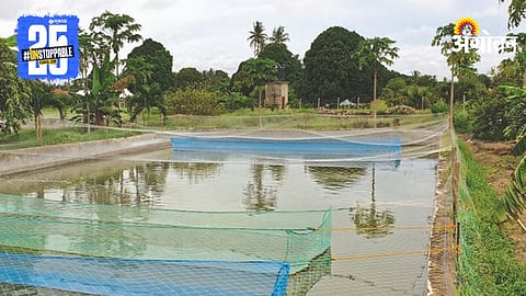 Fish Farming