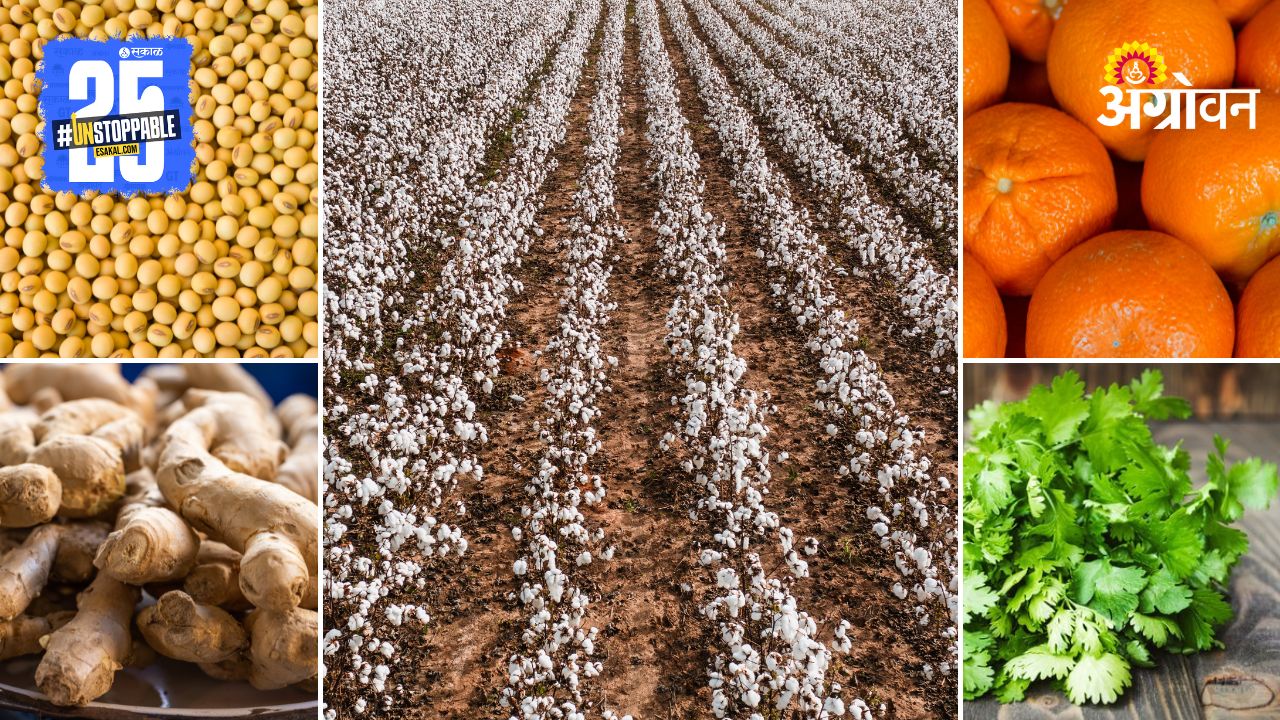 Agriculture Products