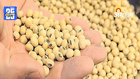 Soybean Procurement
