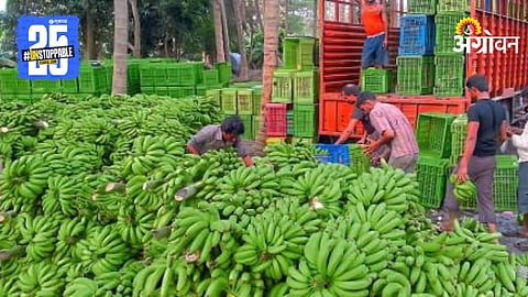 Banana Market