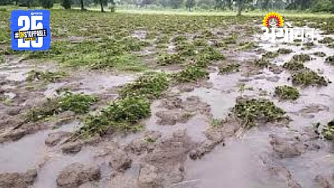 Rain Crop Damage