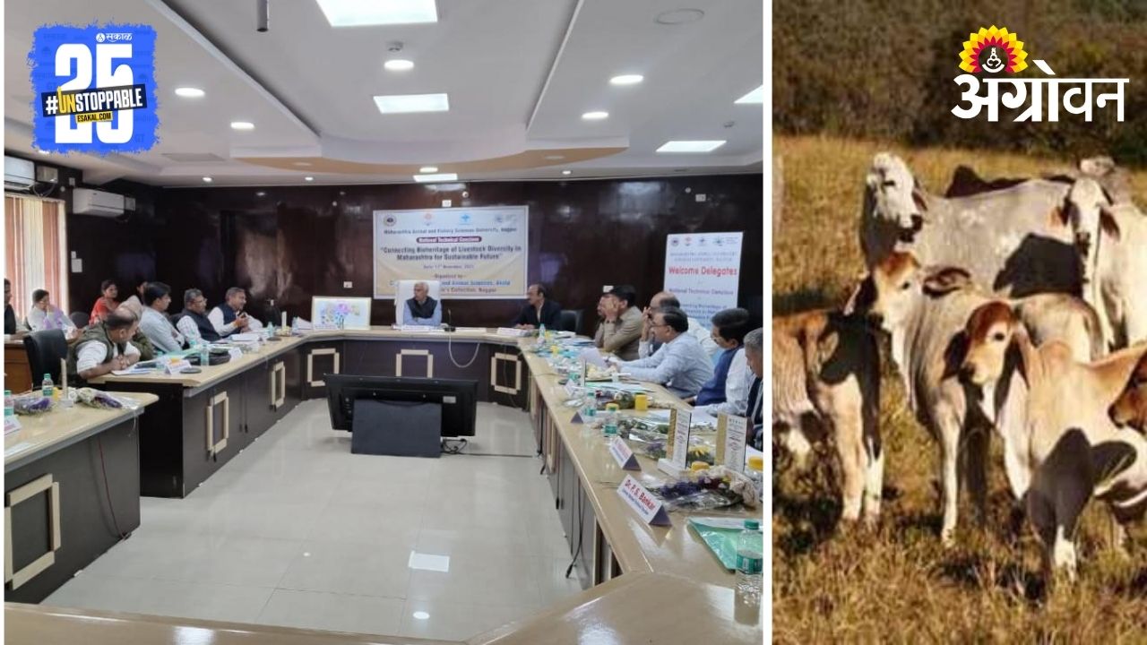 Conference on Livestock