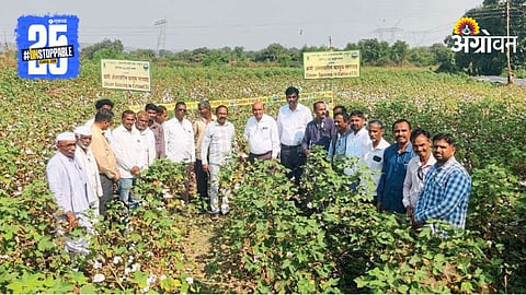 Residue Cotton Management