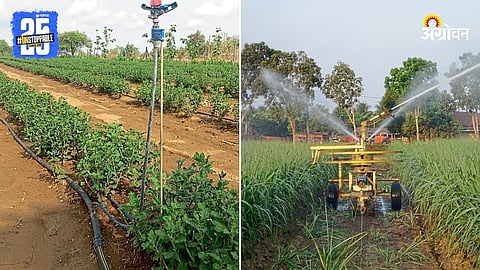 Agriculture Department