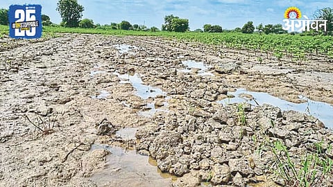 Agricultural Well Damage