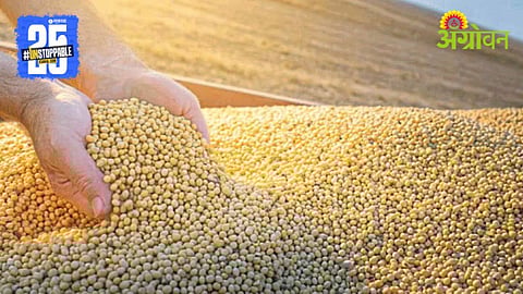 Soybean Procurement