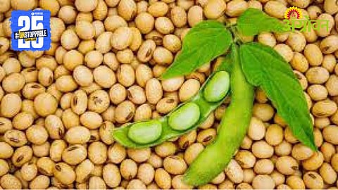 Soybean Procurement