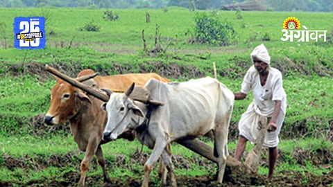 Farm Loan Waiver