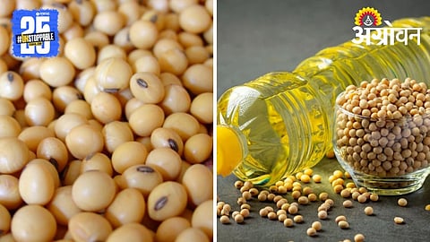 Soybean Processing Unit