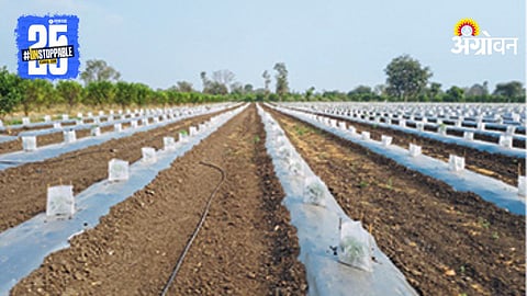 Poly Mulching  Farming