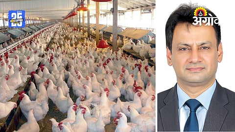 Poultry Industry