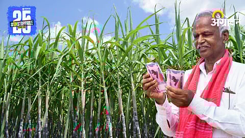 Sugarcane Farming Subsidy