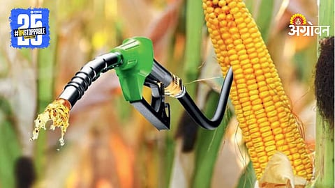 Maize To Ethanol