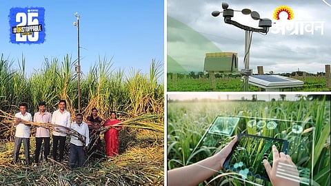 AI in Sugarcane Farming