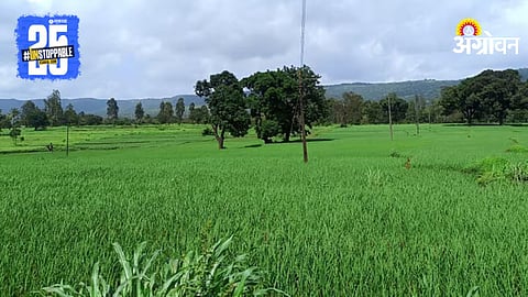 Rabi Crop Competition