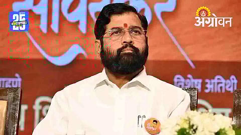 Local Body Elections