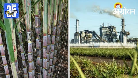 Sugarcane Crushing Season