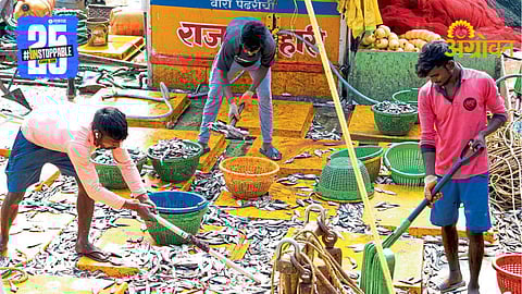 Fisheries Department