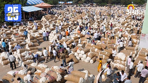 Cotton Market