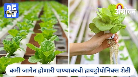 Hydroponics Technology