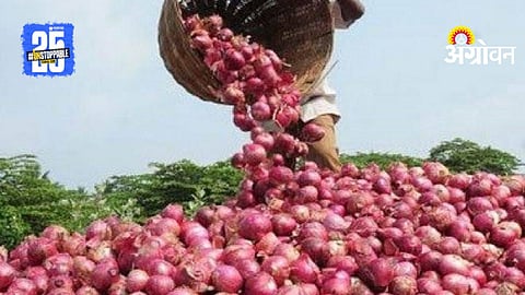 Onion Export
