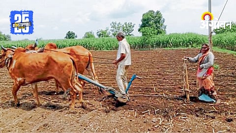 Rabi Sowing: मराठवाड्यात १५ लाख ८८ हजार हेक्टरवर रब्बी पेरा 