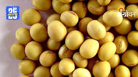Soybean MSP