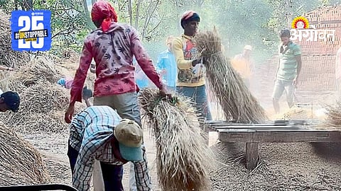 Rice Threshing