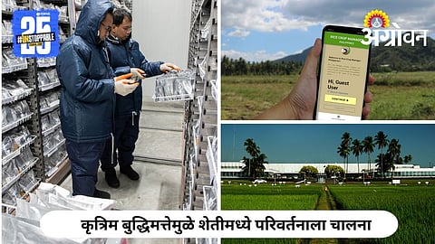 AI in Agriculture Research