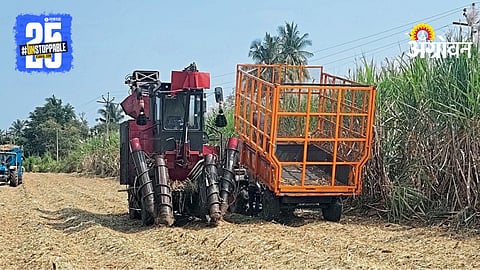 Sugarcane Harvest