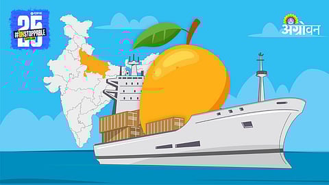 Mango Export