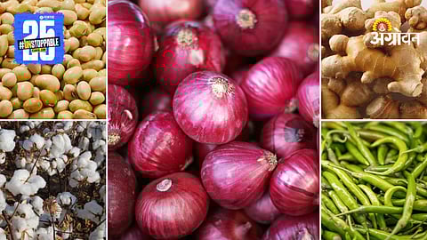 Agriculture Products