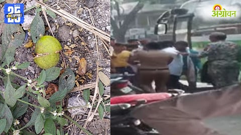 Maharashtra Elections 2025