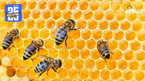 Beekeeping