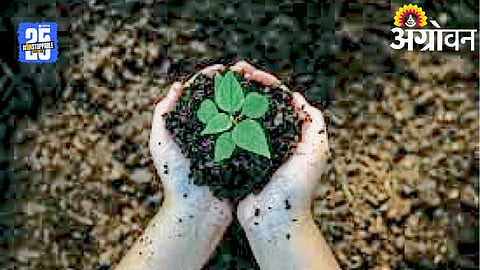 healthy soil for crops