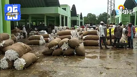 Cotton Market