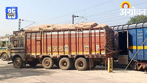 Maize Production: नाशिकमधून पंजाबला मक्याचा पहिला रेल्वे रॅक; बंपर उत्पादनामुळे शेतकऱ्यांना फायदा