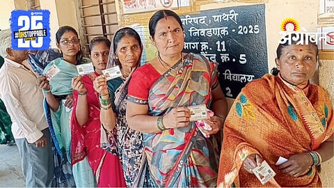 Local Body Elections