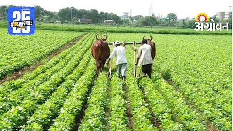 Rabi Crop Competition