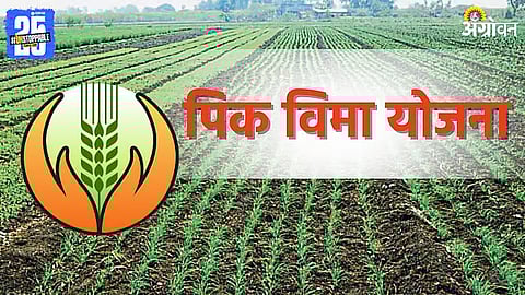 Rabi Crop Insurance