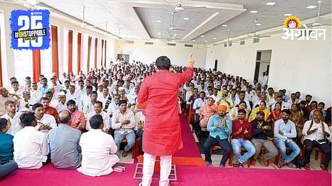 Local Boyd Elections