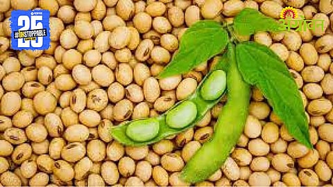 Soybean Procurement