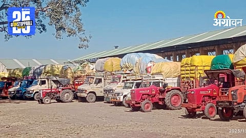 Cotton Procurement