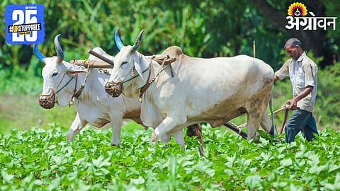 India Agriculture Growth