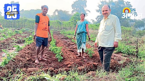 Vegetable Cultivation