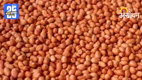 Groundnut Seeds Scheme