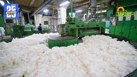 Cotton Processing Industry