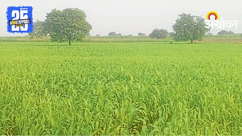 Kharif Crop Loss
